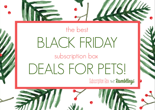 The Top 5 Black Friday Subscription Box Deals for PETS!