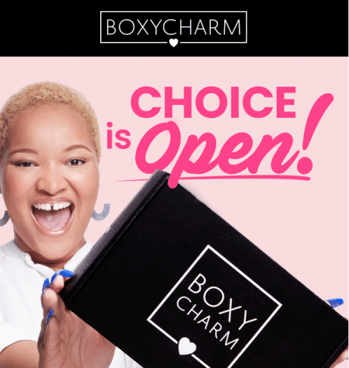 Read more about the article BOXYCHARM December 2019 Premium Box Selection Time + Spoiler #2!