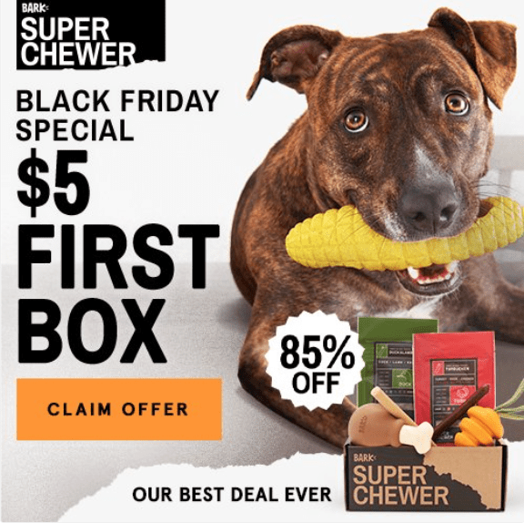 Read more about the article BarkBox Super Chewer Black Friday Coupon Code – First Box for $5
