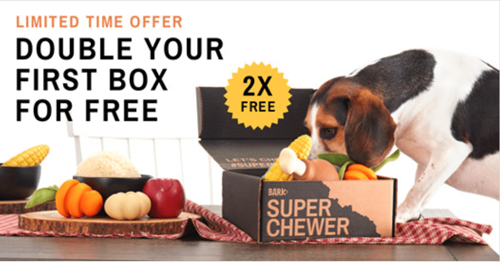 Read more about the article BarkBox Super Chewer Early Black Friday Coupon Code – Double Your First Box!