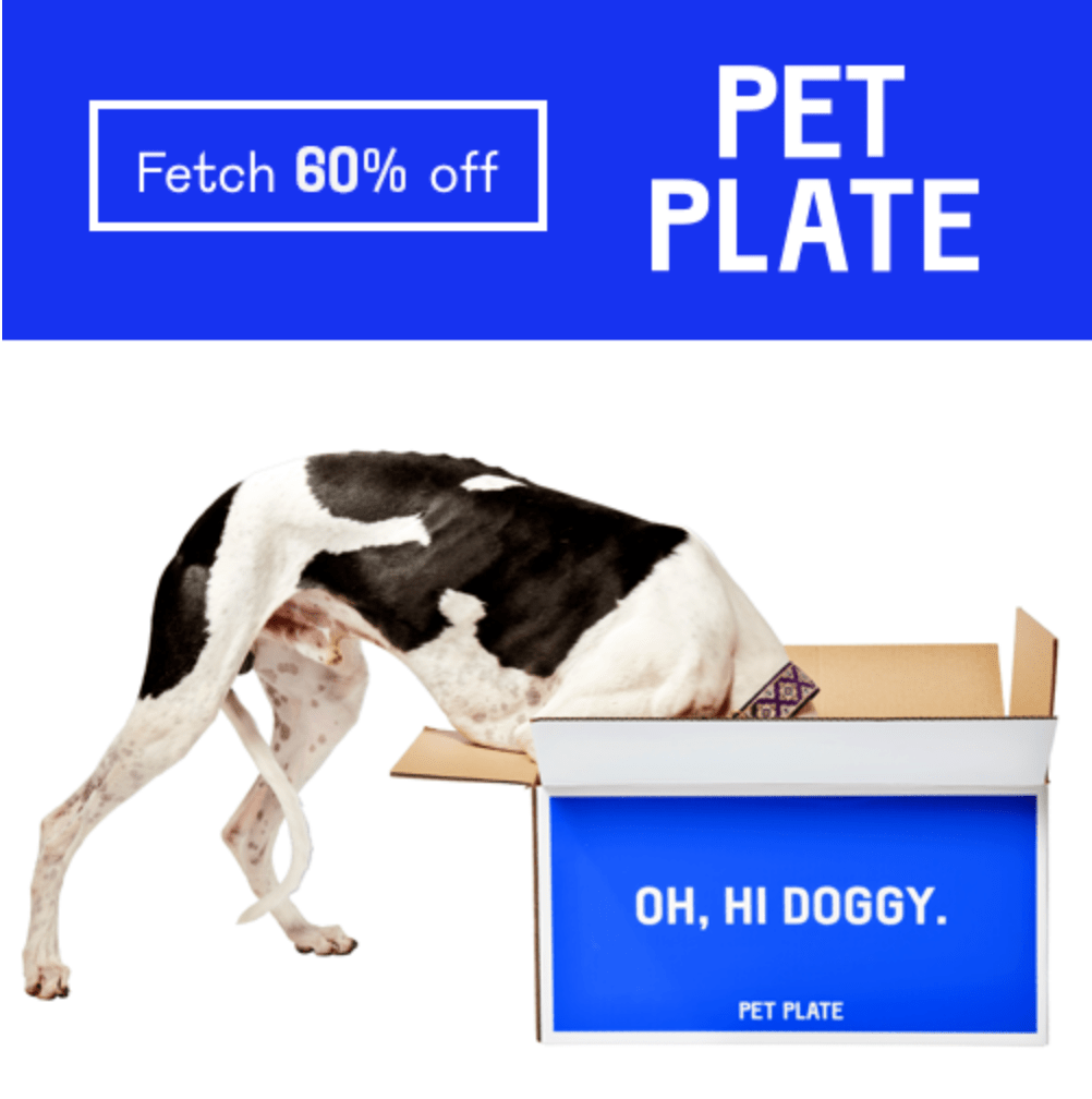 Read more about the article PetPlate Black Friday Coupon – Save 60% Off Your First Box!