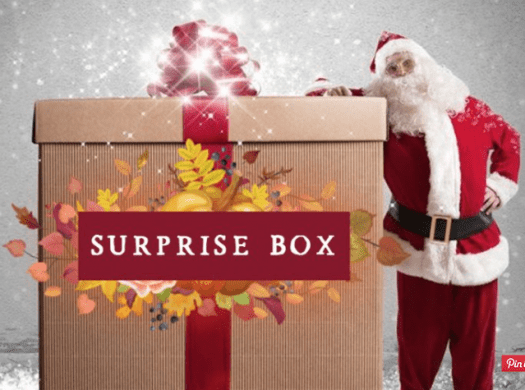 Decor Steals Surprise Box – On Sale Now!