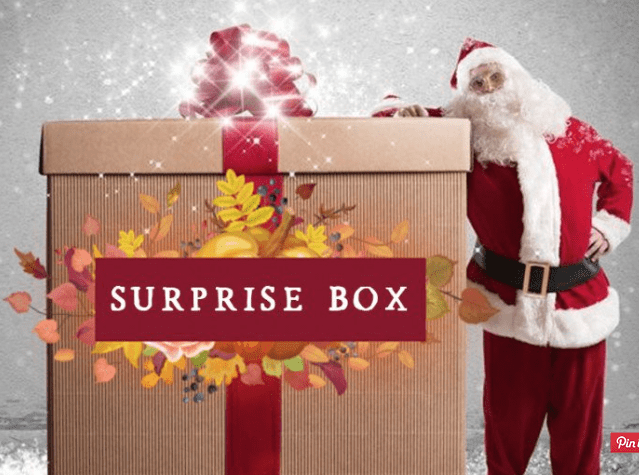 Read more about the article Decor Steals Surprise Box – On Sale Now!