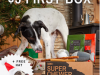 LAST DAY! BarkBox Super Chewer Cyber Monday Coupon Code – First Box for $5 + Free Santa Hat!
