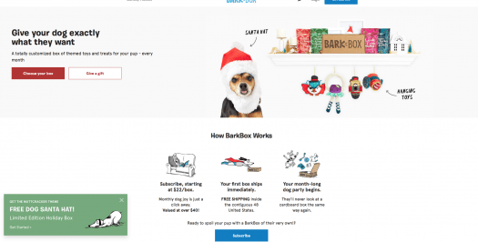 BarkBox Coupon Code - Free Santa Hat!