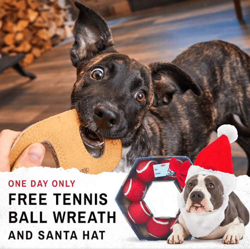 BarkBox Super Chewer Coupon Code – Free Tennis Ball Wreath + Free Santa Hat!