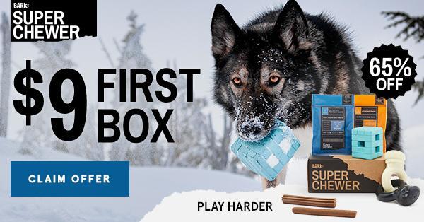 Read more about the article BarkBox Super Chewer Coupon Code – First Box for $9!