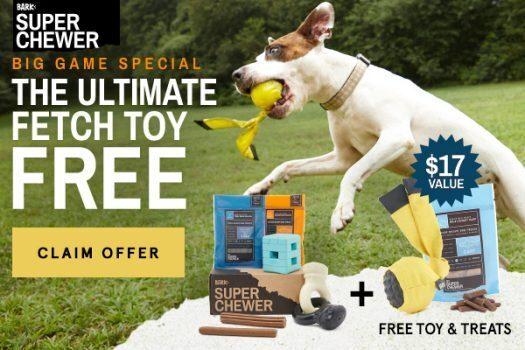 Read more about the article BarkBox Super Chewer Coupon Code – Free Football Fetch Toy + Treats!