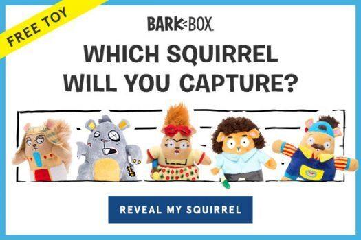 Read more about the article BarkBox Coupon Code – Free Bob Toss Squirrel Toy!
