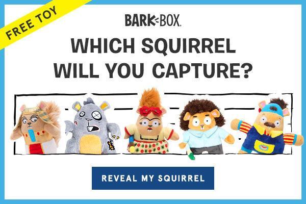 BarkBox Coupon Code - Free Squirrel Toy!