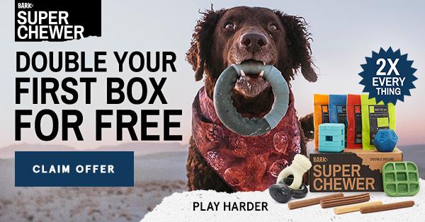 Read more about the article BarkBox Super Chewer Coupon Code – Double Your First Box!
