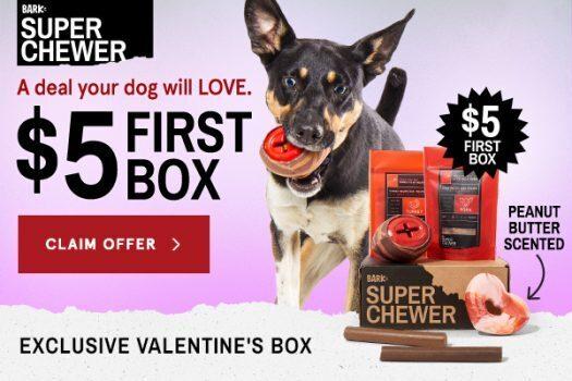 Read more about the article BarkBox Super Chewer Coupon Code – First Box for $5