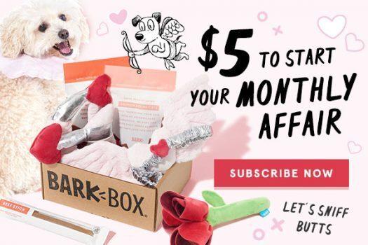 Read more about the article BarkBox Coupon Code – $5 First Box Offer!