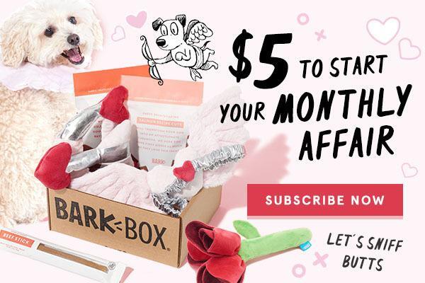 dog subscription box coupon