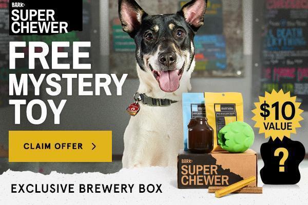 Read more about the article BarkBox Super Chewer Coupon Code – Free Mystery Toy