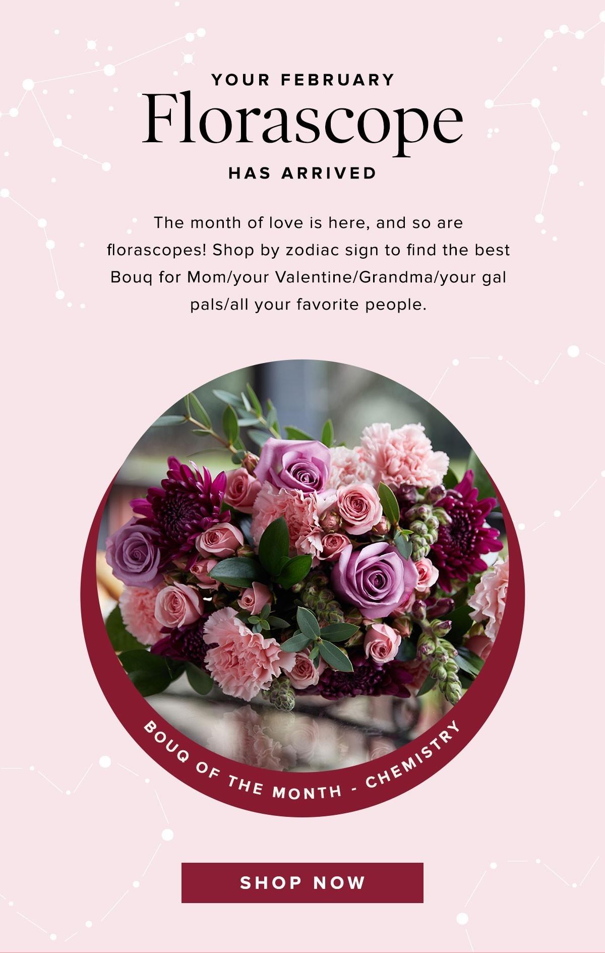 The Bouqs Valentines Day Coupon Code – Save 30% + See the February Bouq!
