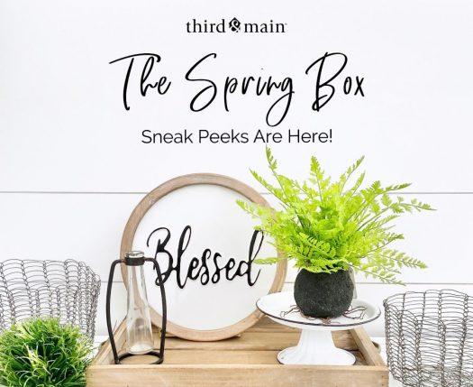 Read more about the article Third & Main Spring 2020 Box Spoilers