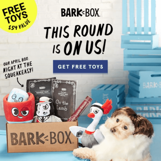 Read more about the article BarkBox Coupon Code – Free Extra Toys!