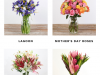 The Bouqs Mothers Day Sale – Double Your Bouq