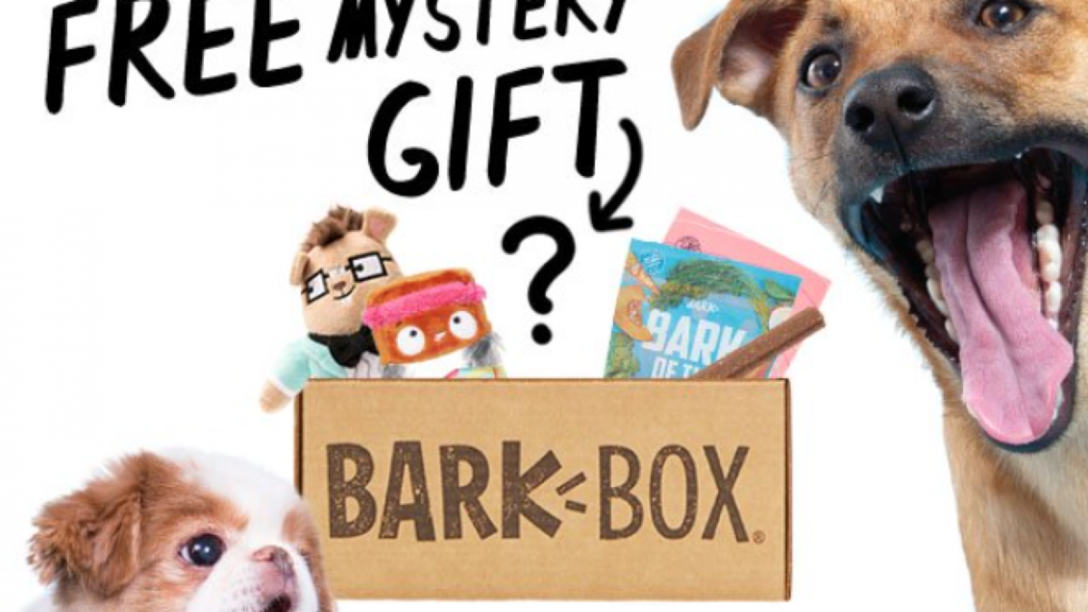 barkbox free gift