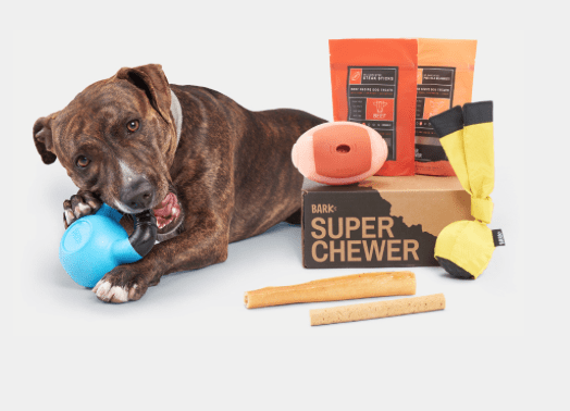 Read more about the article BarkBox Super Chewer Coupon Code – Free Mystery Toy