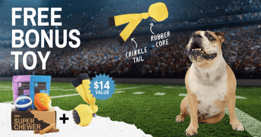BarkBox Super Chewer Coupon Code – Free Extra Fetch Toy