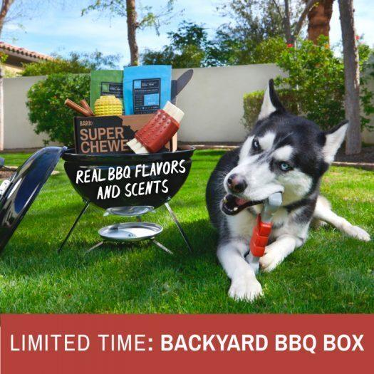 Read more about the article BarkBox Super Chewer Coupon Code – American BBQ Box On Sale Now!