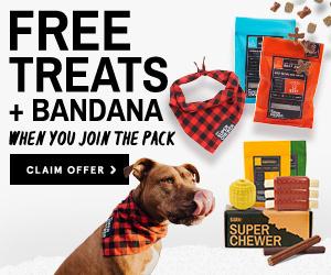 Read more about the article BarkBox Super Chewer Coupon Code – Free Bandana & Treats