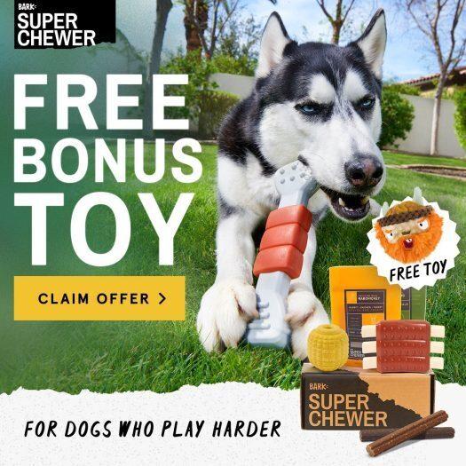 BarkBox Super Chewer Coupon Code – Free Bonus Toy