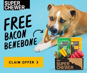 BarkBox Super Chewer Coupon Code – Free Bonus Toy