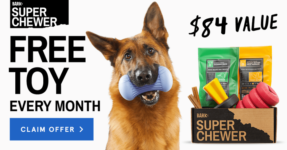 Read more about the article BarkBox Super Chewer Coupon Code – Free Extra Toy Per Month