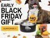 BarkBox Super Chewer Coupon Code – FREE Yeti Dog Bowl!