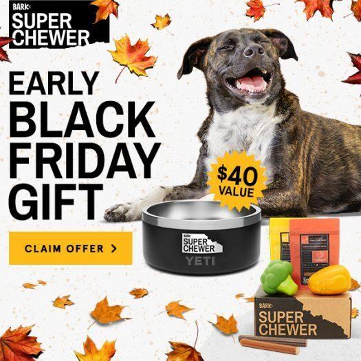 BarkBox Super Chewer Coupon Code – FREE Yeti Dog Bowl!