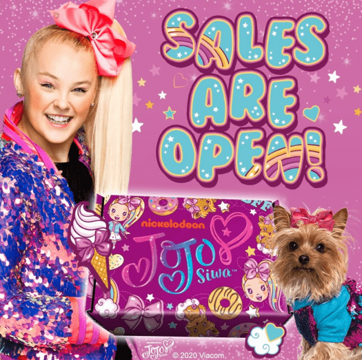 Read more about the article The Jojo Siwa Box Fall 2020 Box – Spoilers #3