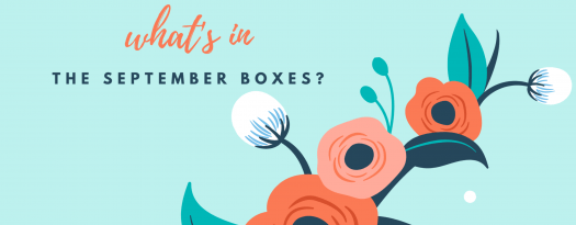 Read more about the article Kinder Beauty Box September 2020 FULL Spoilers
