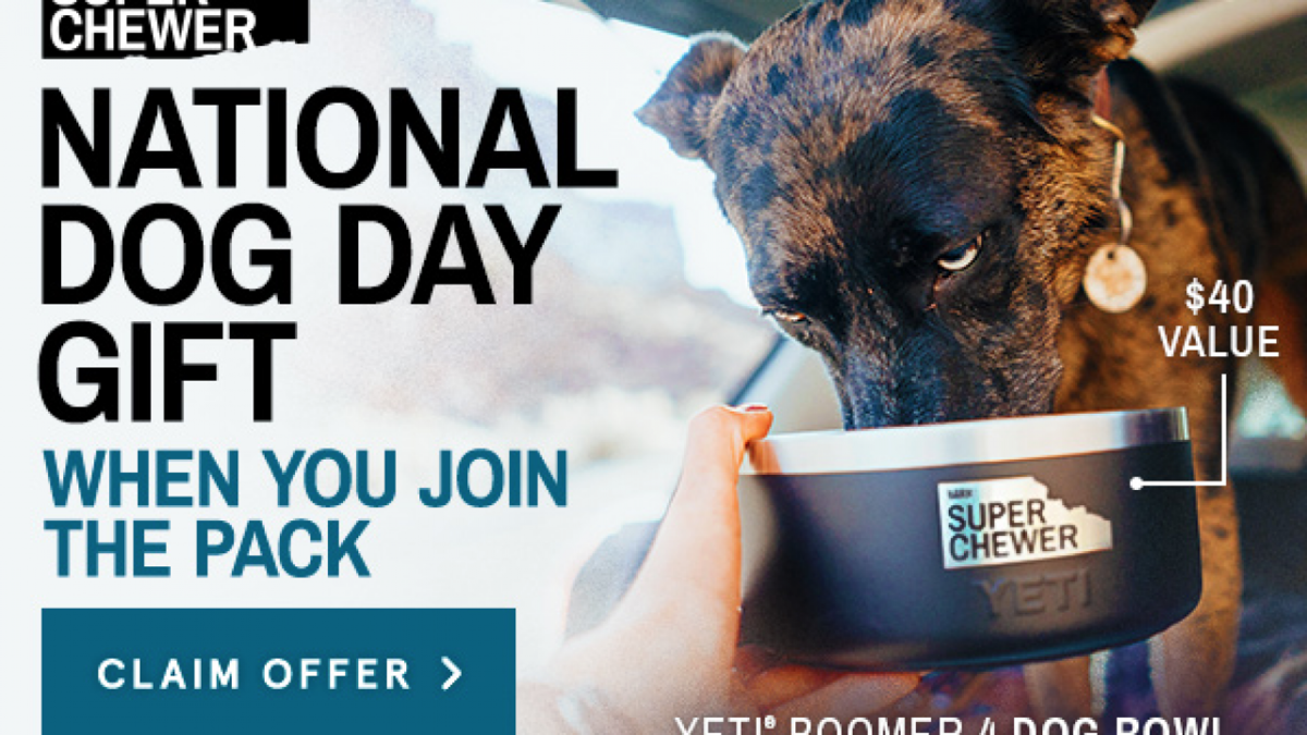 Barkbox Super Chewer Coupon Code Free Yeti Dog Bowl Subscription Box Ramblings