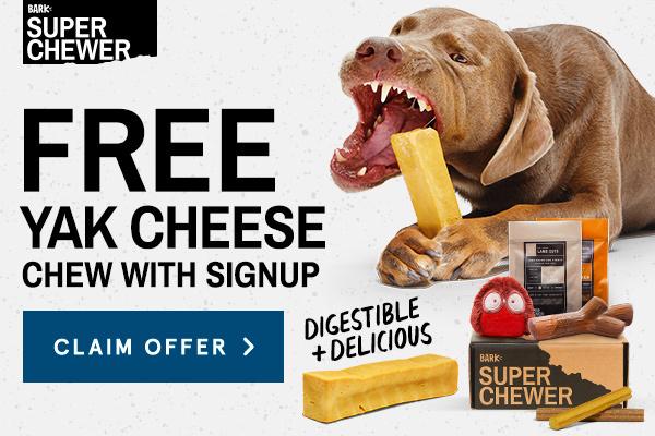 Read more about the article BarkBox Super Chewer Coupon Code – Yak Cheese Chew