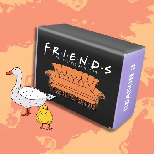 Friends Subscription Box Fall 2020 Spoiler #1