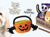 BarkBox Coupon Code – Free Pumpkin Pail Toy!