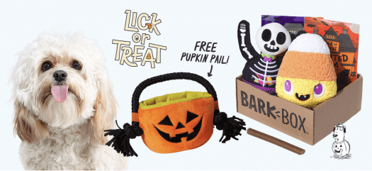 Read more about the article BarkBox Coupon Code – Free Pumpkin Pail Toy!