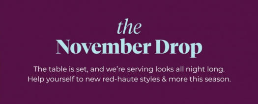 Read more about the article Adore Me November 2020 Selection Window Open + Coupon Code!