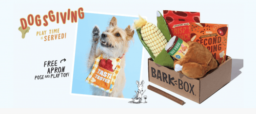 Read more about the article BarkBox Coupon Code: Free Extra Toy Per Month