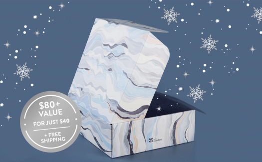 Read more about the article Erin Condren Winter 2020 Seasonal Surprise Box – On Sale Now!