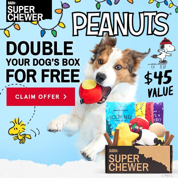 Read more about the article BarkBox Super Chewer Coupon Code – Free Charlie Brown Dog Sweater