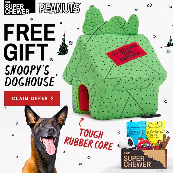 Read more about the article BarkBox Super Chewer Coupon Code – Free Snoopy Doghouse Toy
