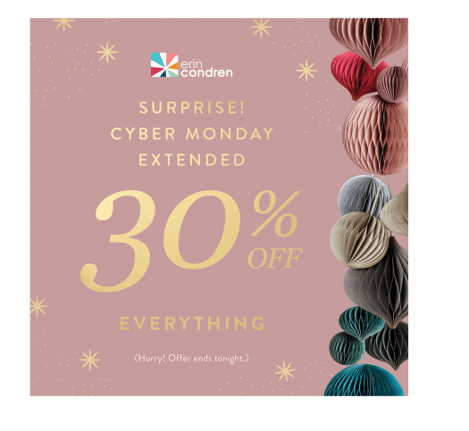 EXTENDED!!!!! Erin Condren Cyber Monday Sale – Save 30% Off EVERYTHING + Free Gift