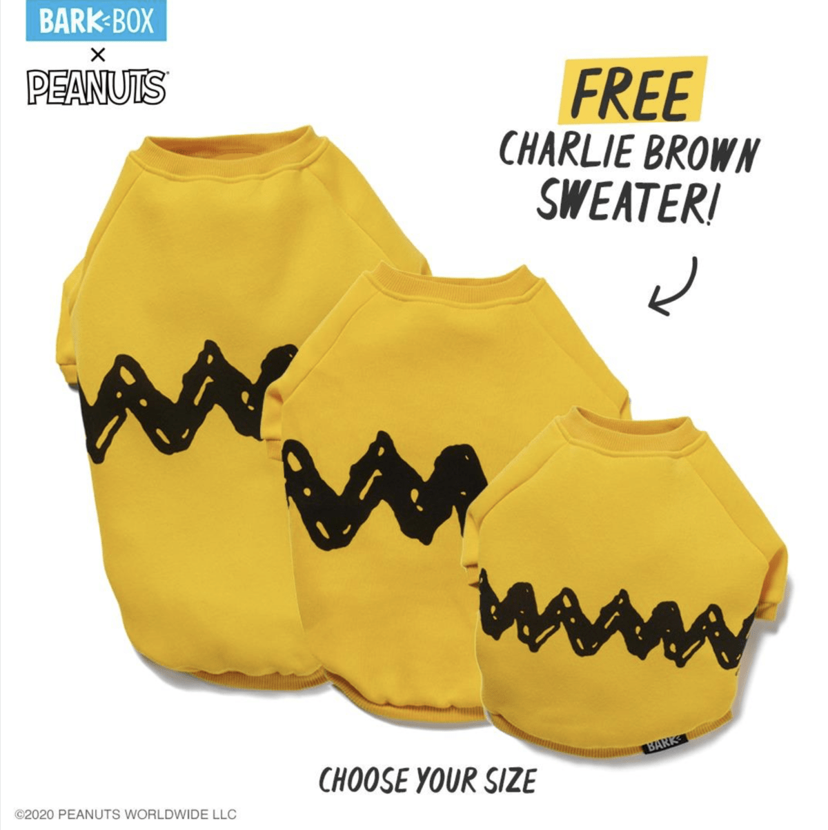 Read more about the article BarkBox Coupon Code – Free Charlie Brown Sweater!