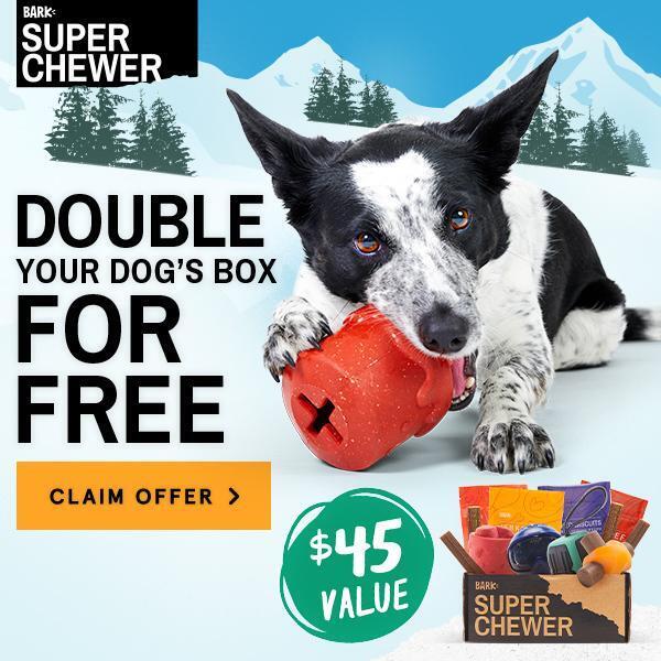 Read more about the article BarkBox Super Chewer Coupon Code – Double Your First Box