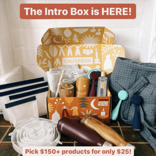 CAUSEBOX $25 Intro Box – Still Available!