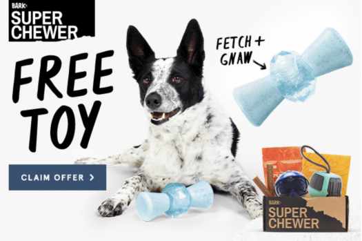 BarkBox Super Chewer Coupon Code – FREE Ice Breaker Toy